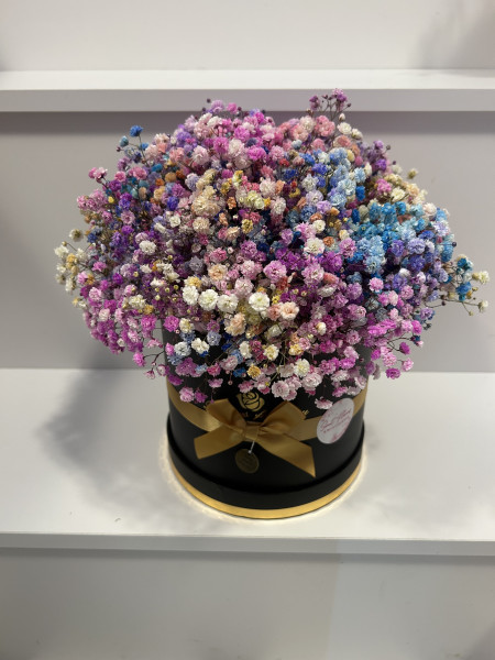 IMG41871cf69f1d0125195147